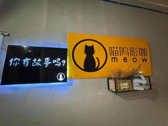 我的刺猬女孩电视剧免费观看的相关介绍